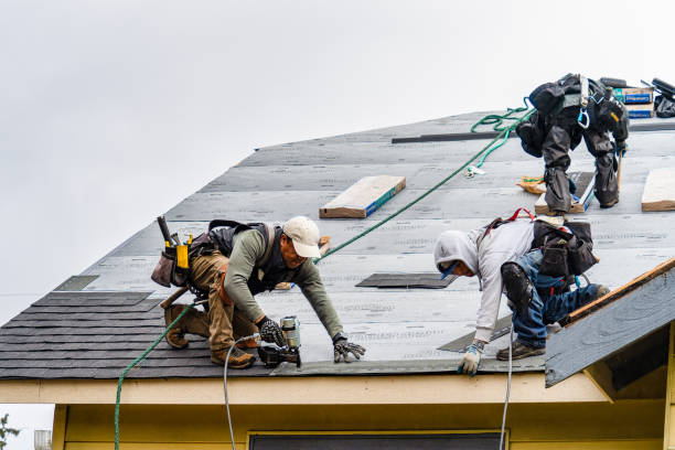 Professional Gutter Installation technician working in Burgess, VA